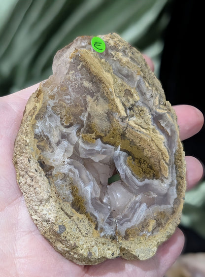 Raw Edge Moss Agate Slab