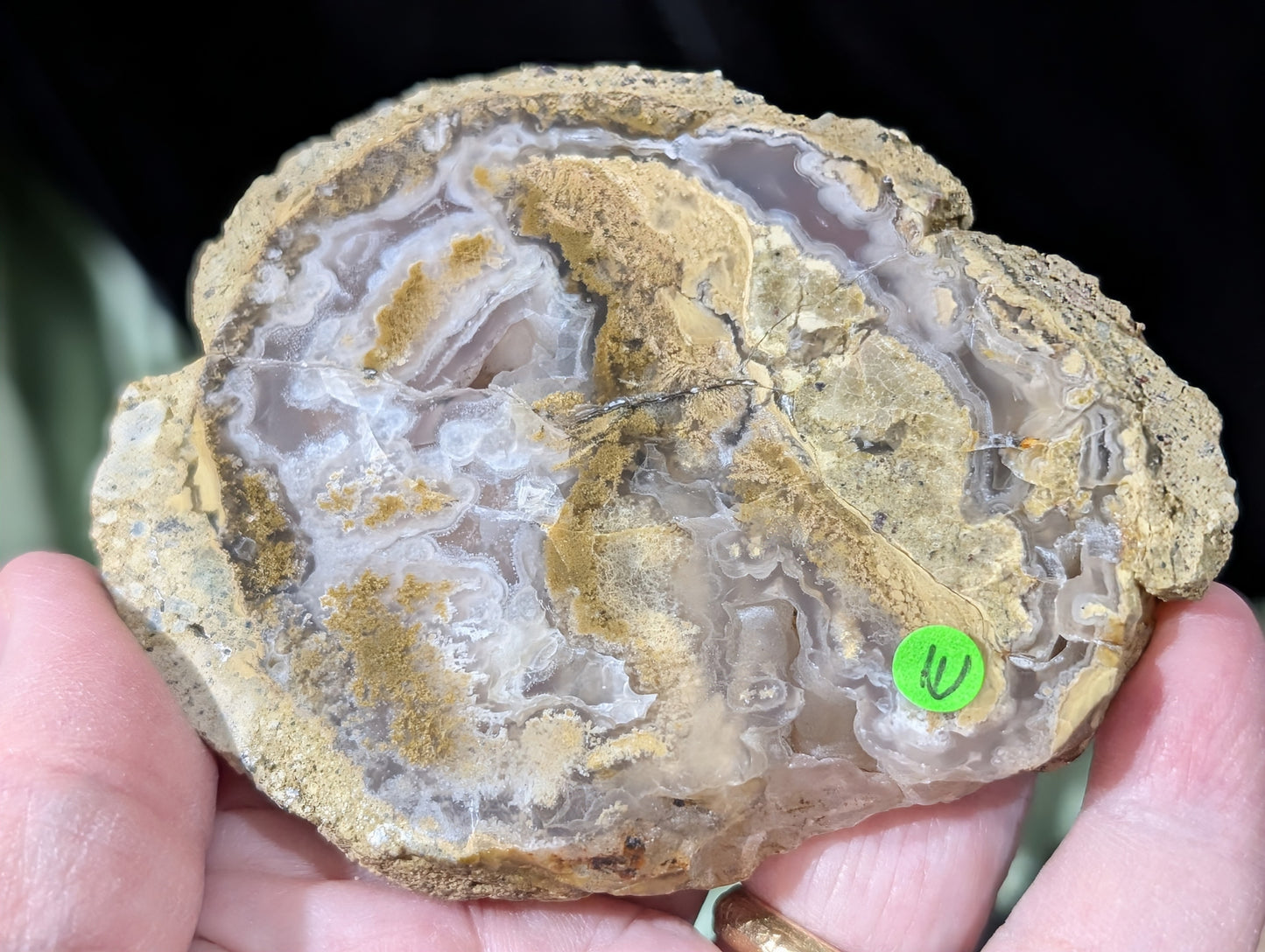 Raw Edge Moss Agate Slab