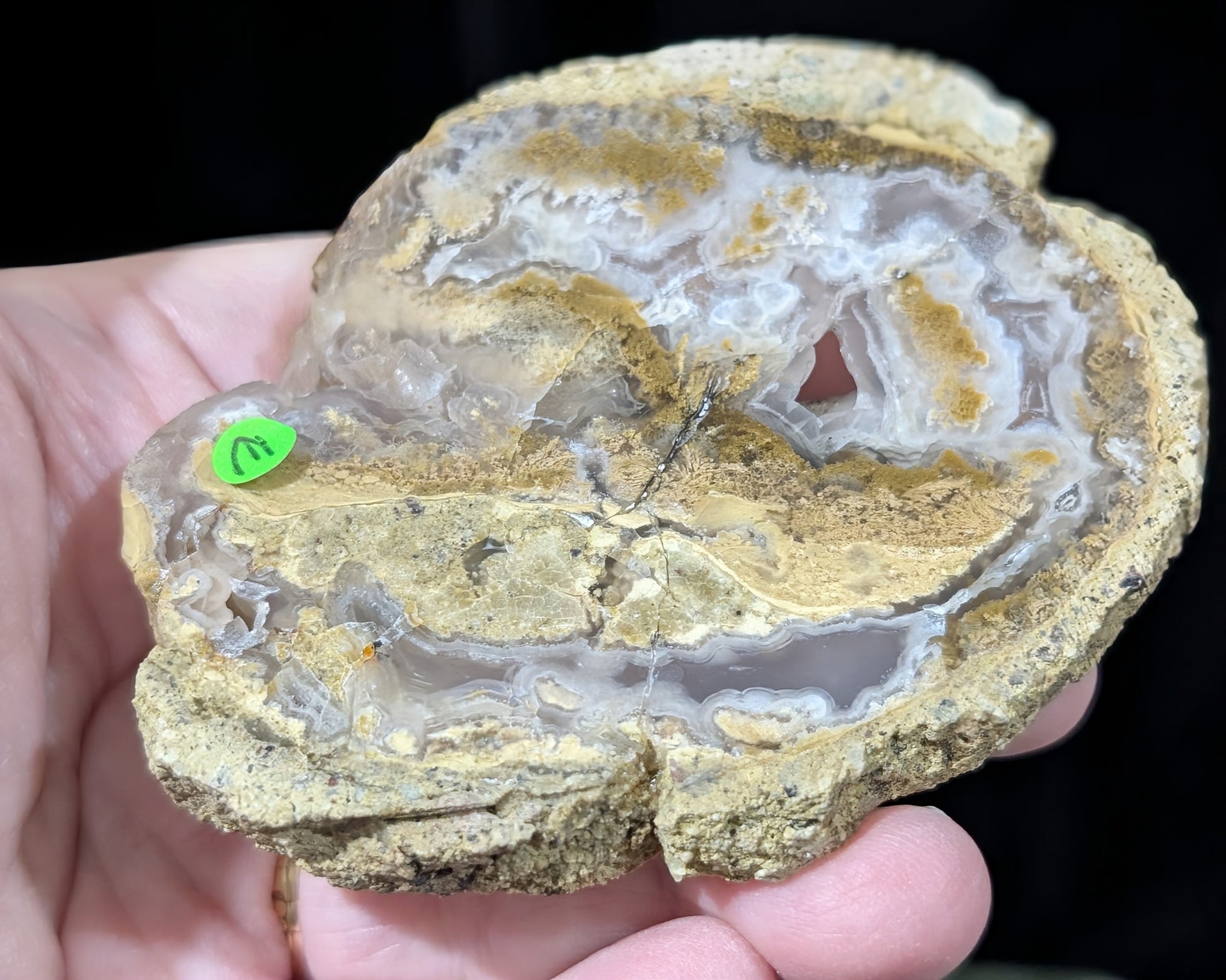 Raw Edge Moss Agate Slab