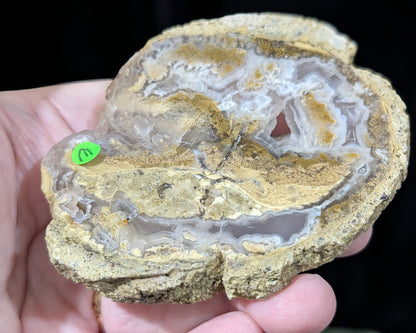 Raw Edge Moss Agate Slab