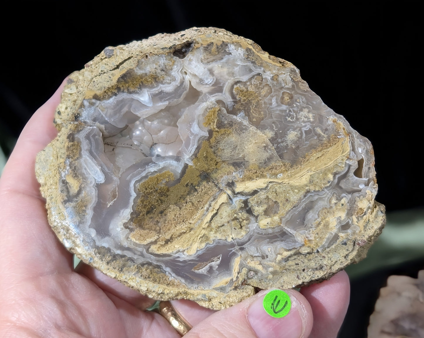 Raw Edge Moss Agate Slab