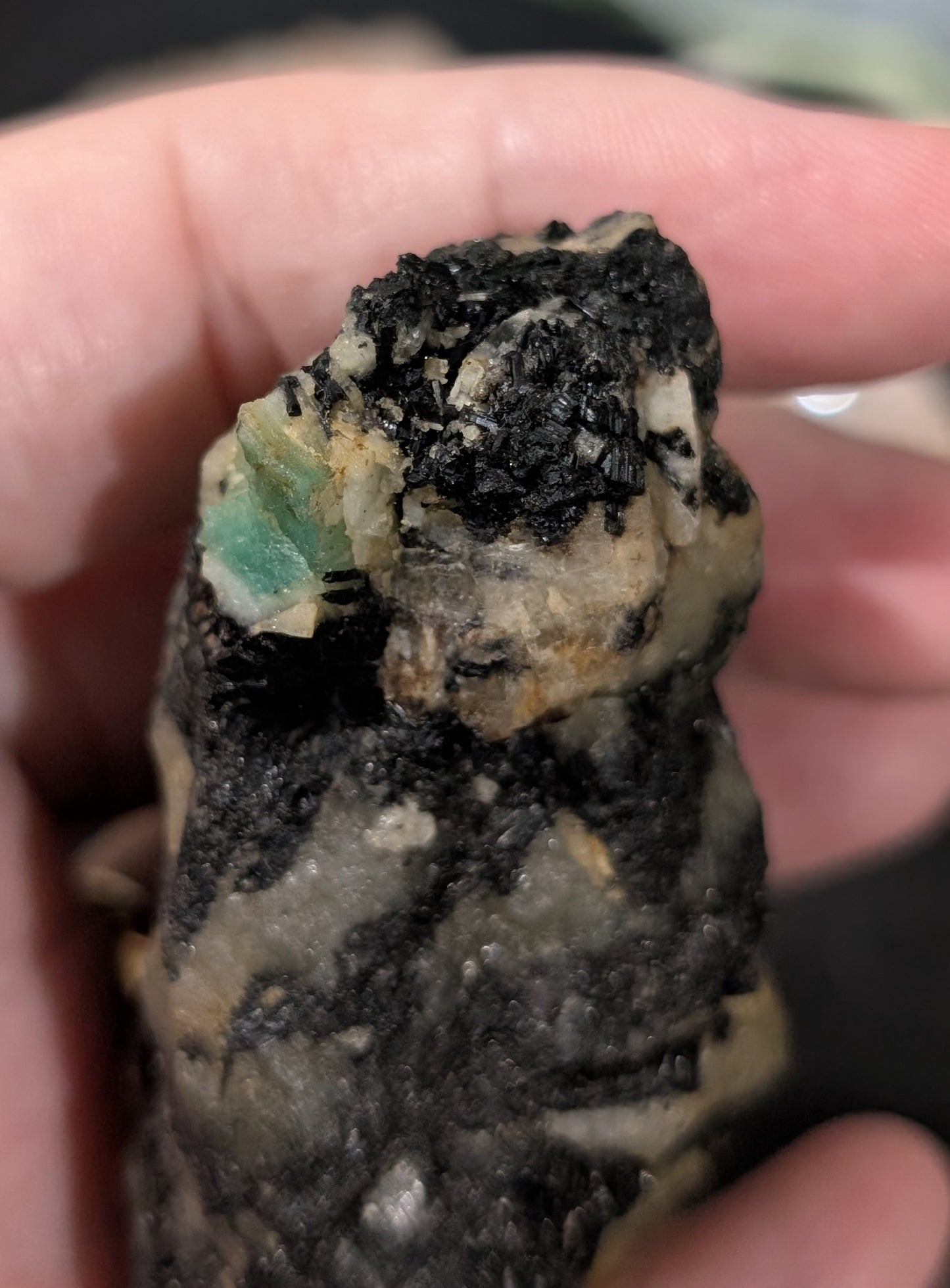 Raw Emerald in Kyanite Matrix Specimen