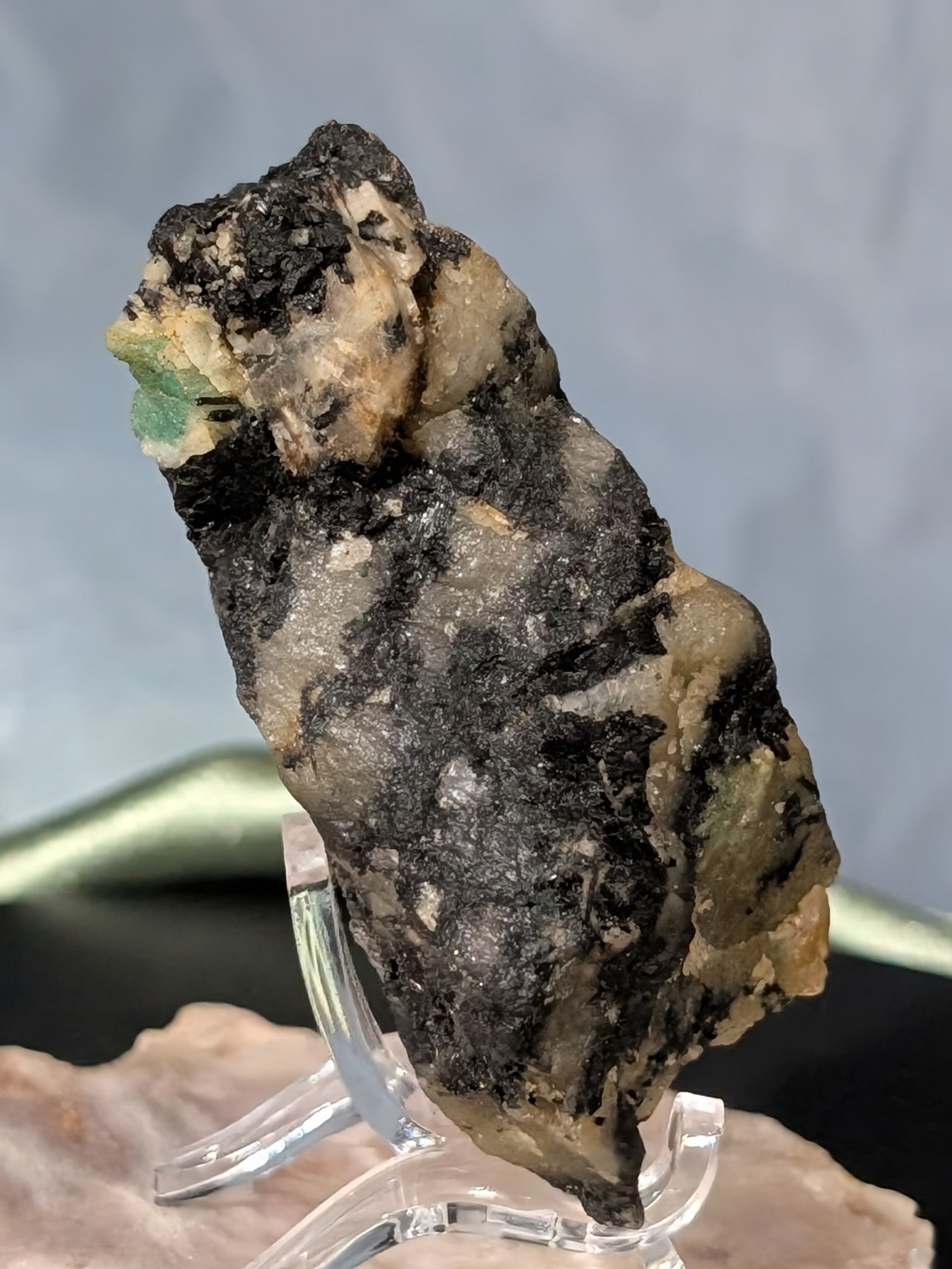Raw Emerald in Kyanite Matrix Specimen 