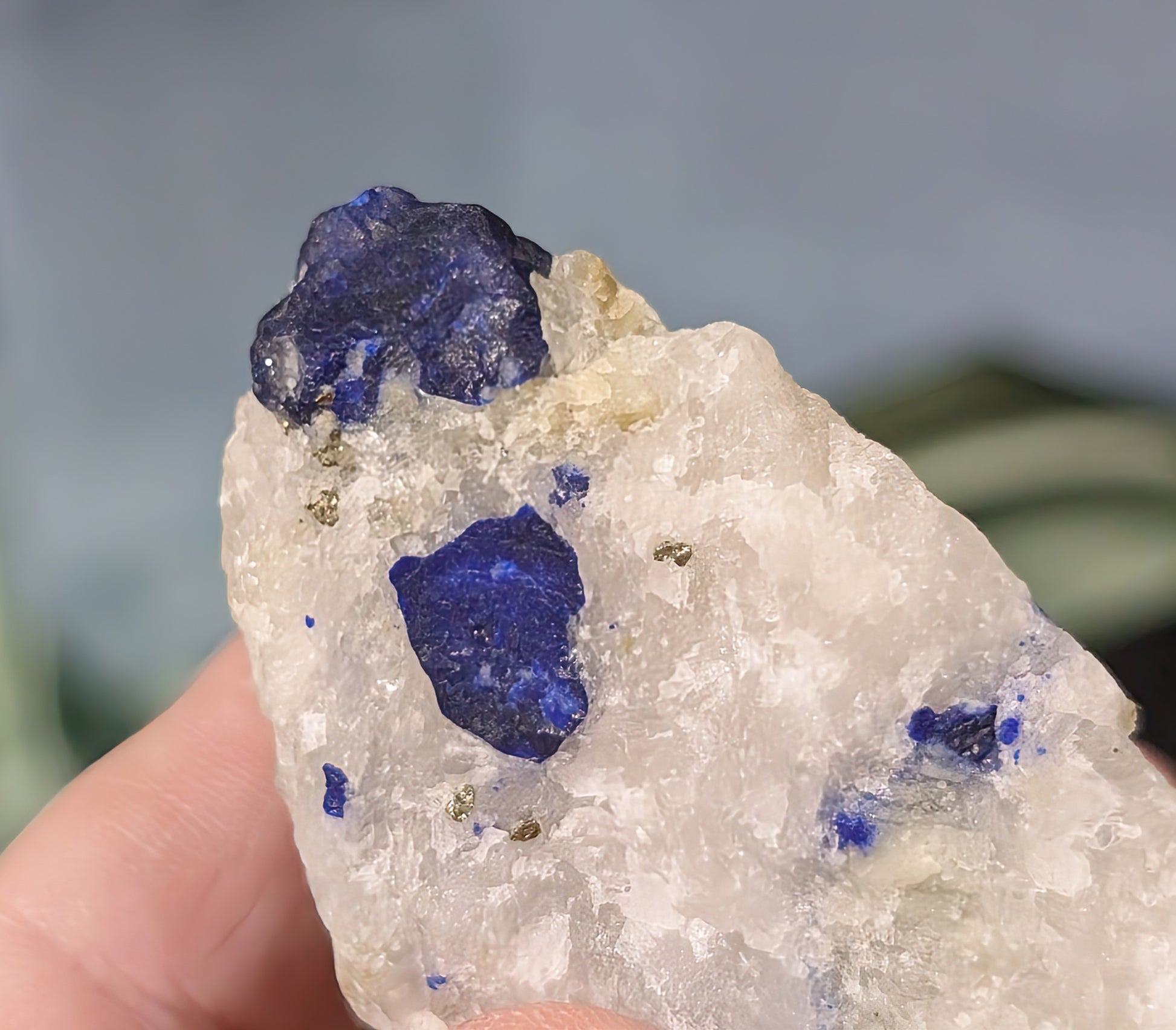 Raw Lazurite on Matrix Specimen