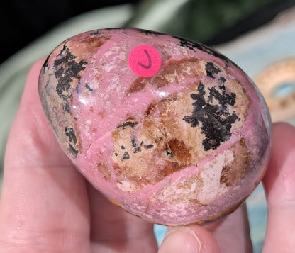 Rhodonite Egg