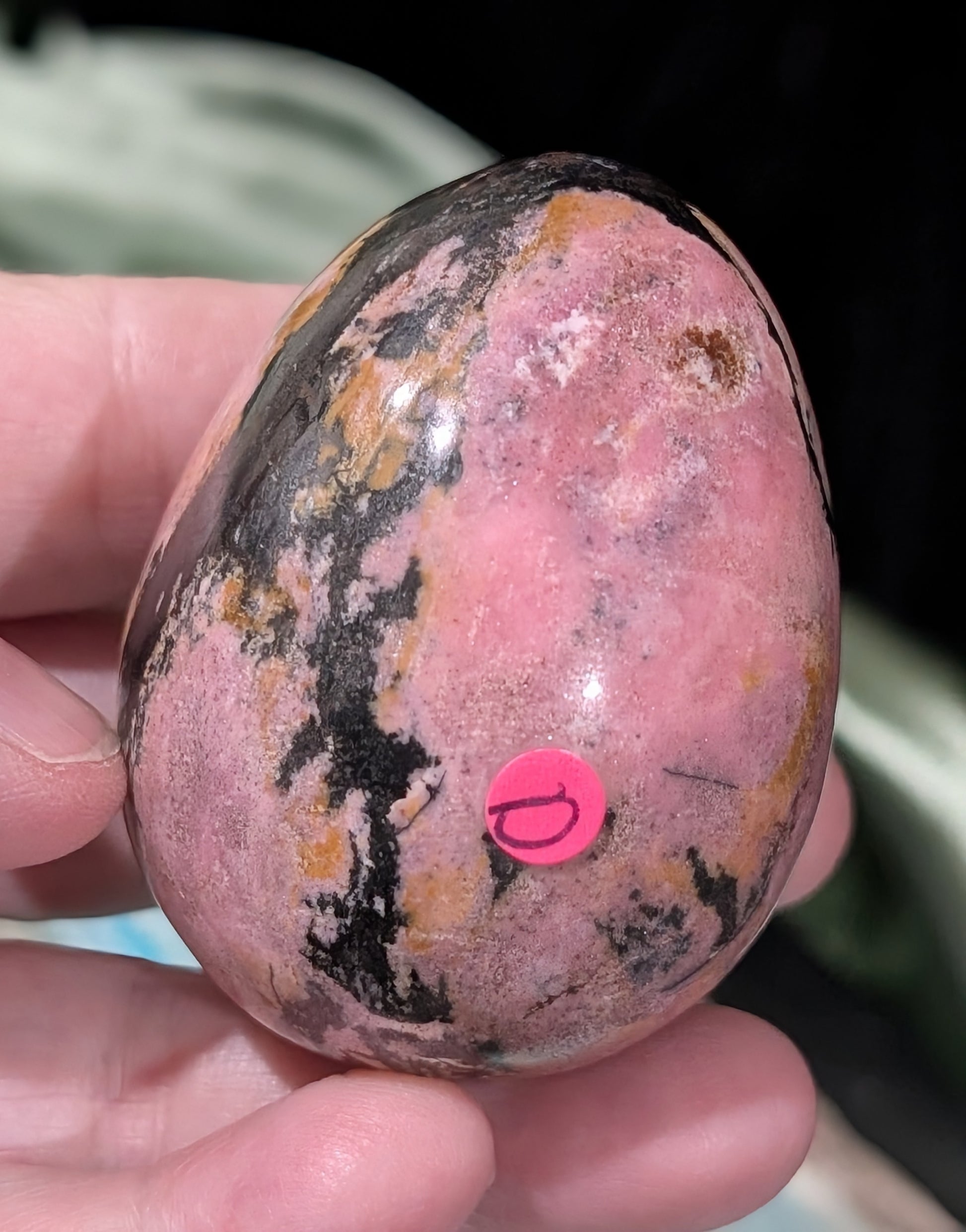 Rhodonite Egg