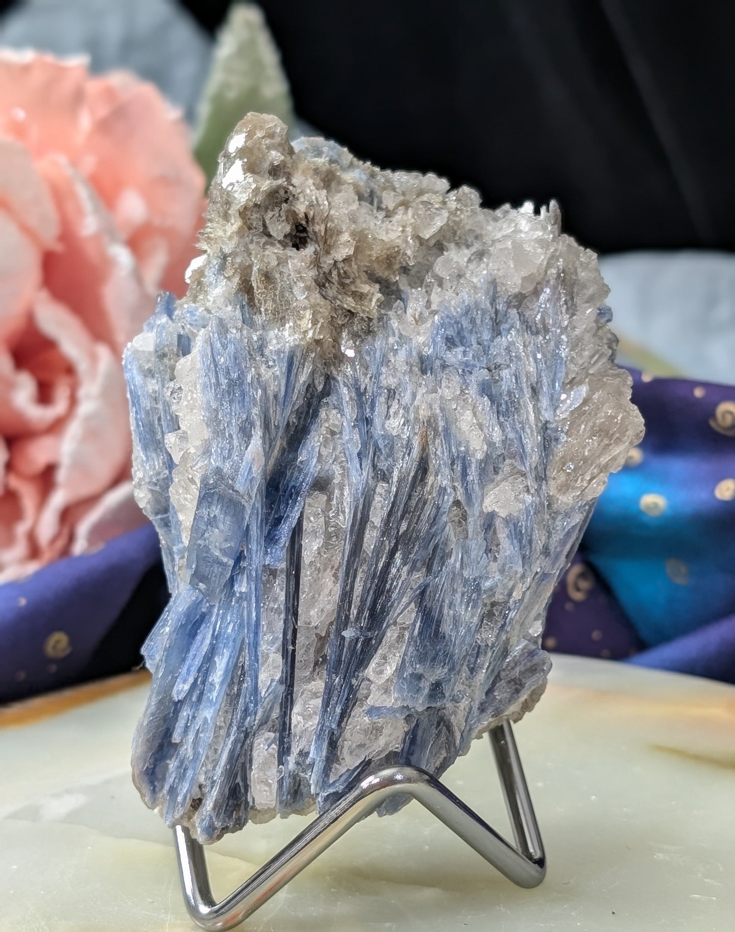 Ruby in Kyanite Specimen