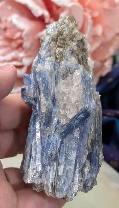 Ruby in Kyanite Specimen