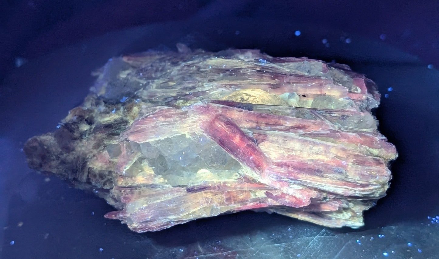 UV Reactive Ruby in Kyanite Specimen