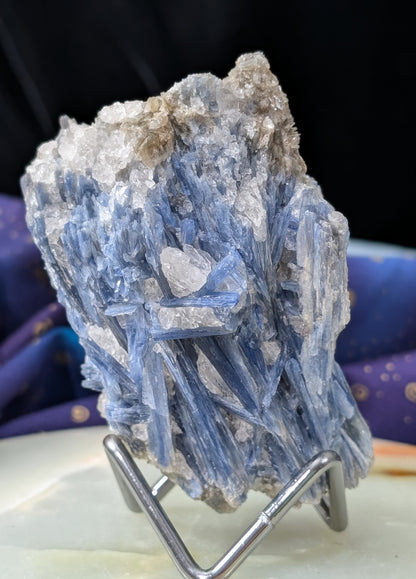 Ruby in Kyanite Specimen