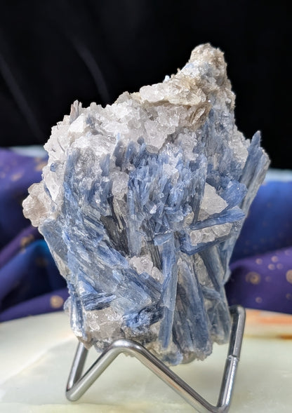 Ruby in Kyanite Specimen