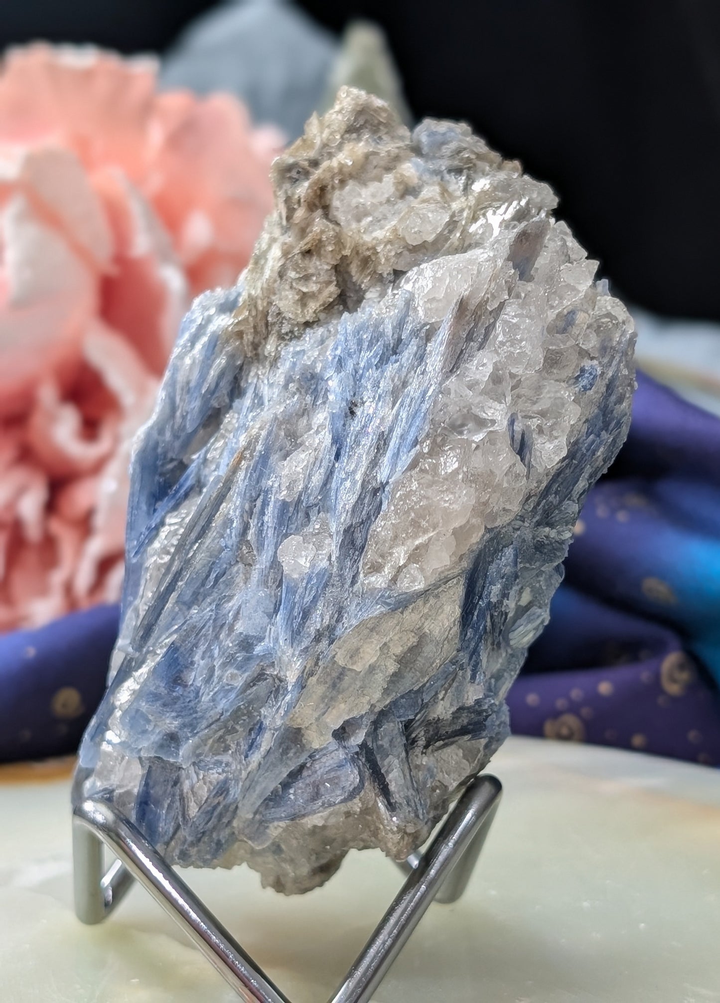 Ruby in Kyanite Specimen