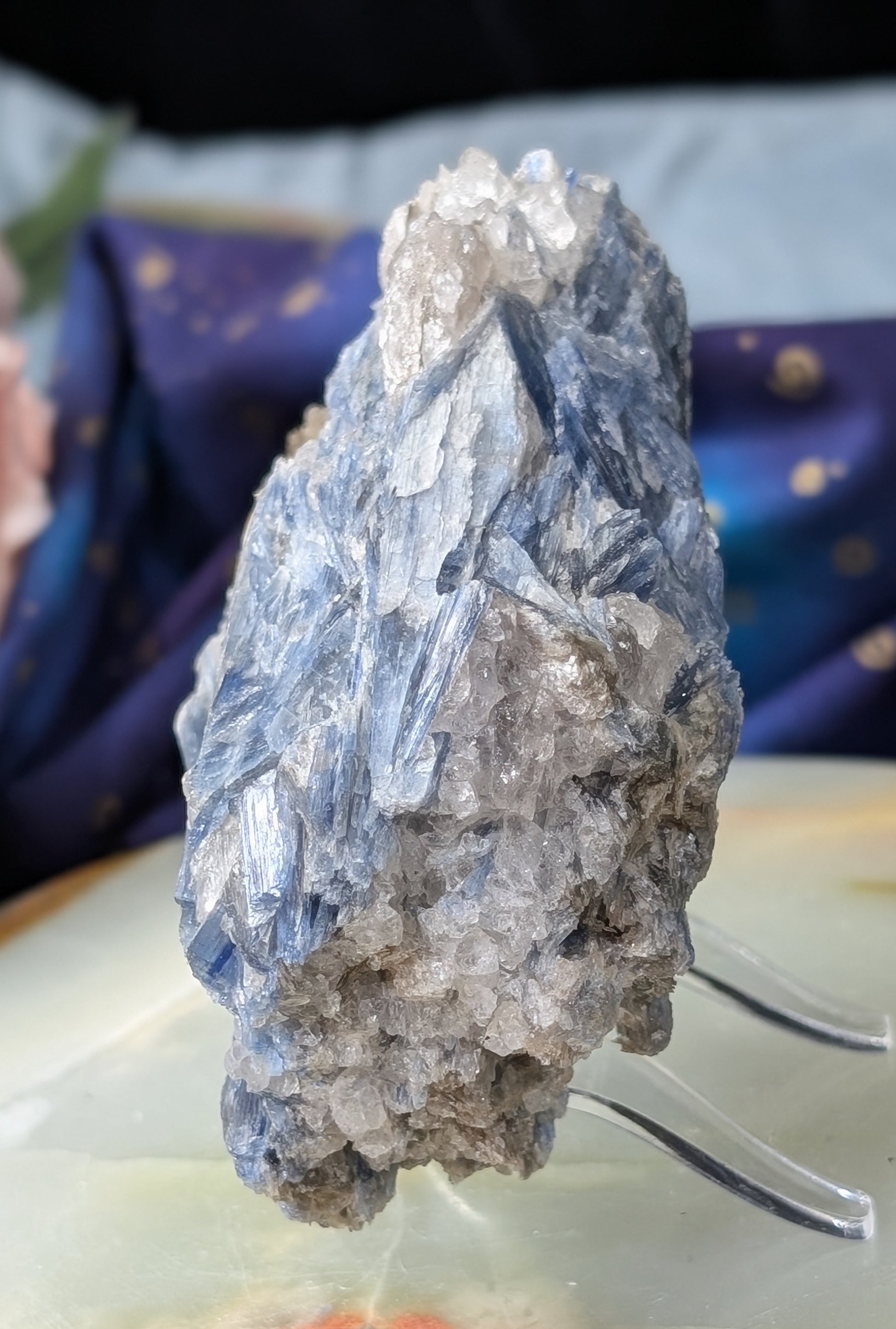 Ruby in Kyanite Specimen