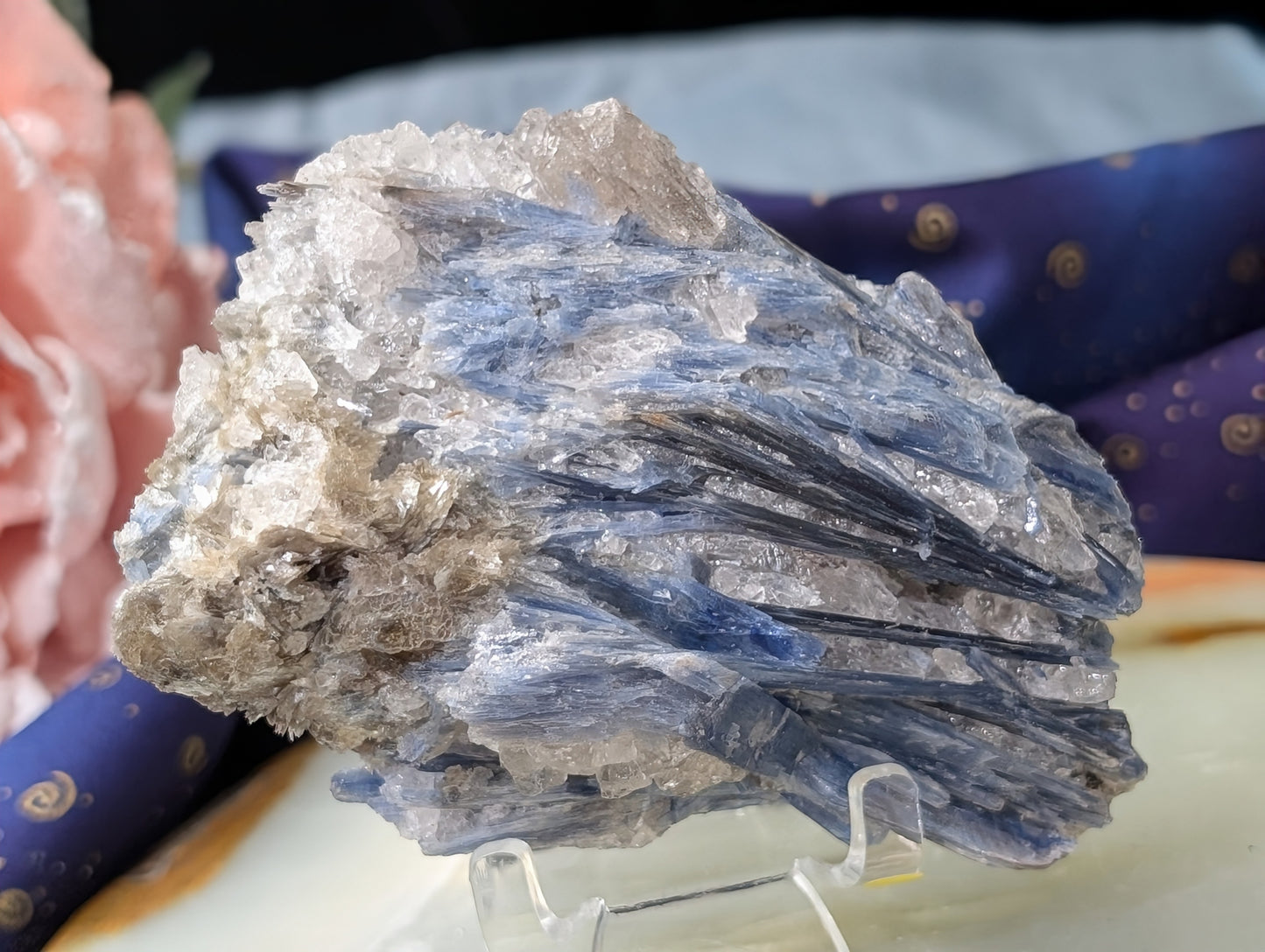 Ruby in Kyanite Specimen
