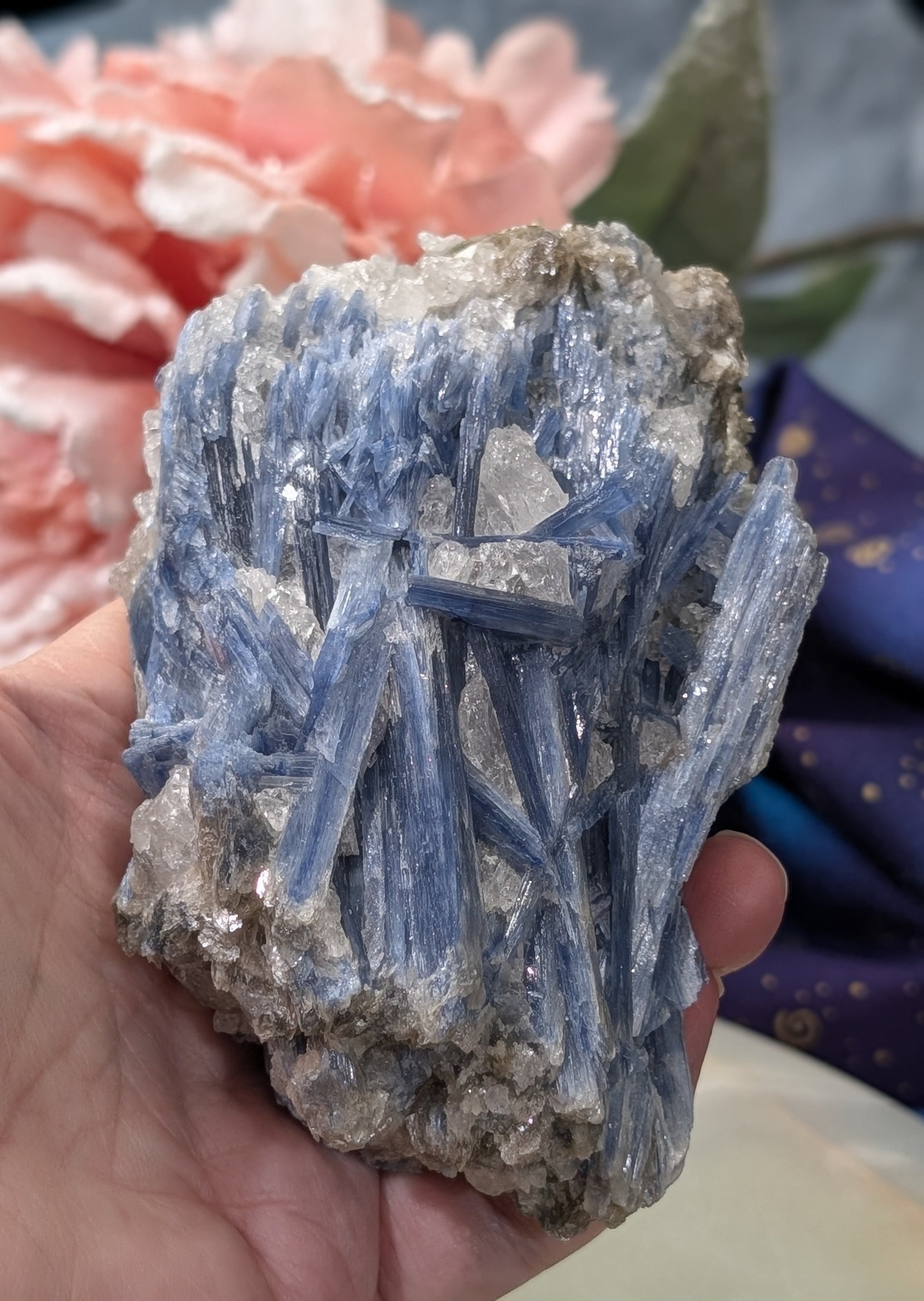 Ruby in Kyanite Specimen