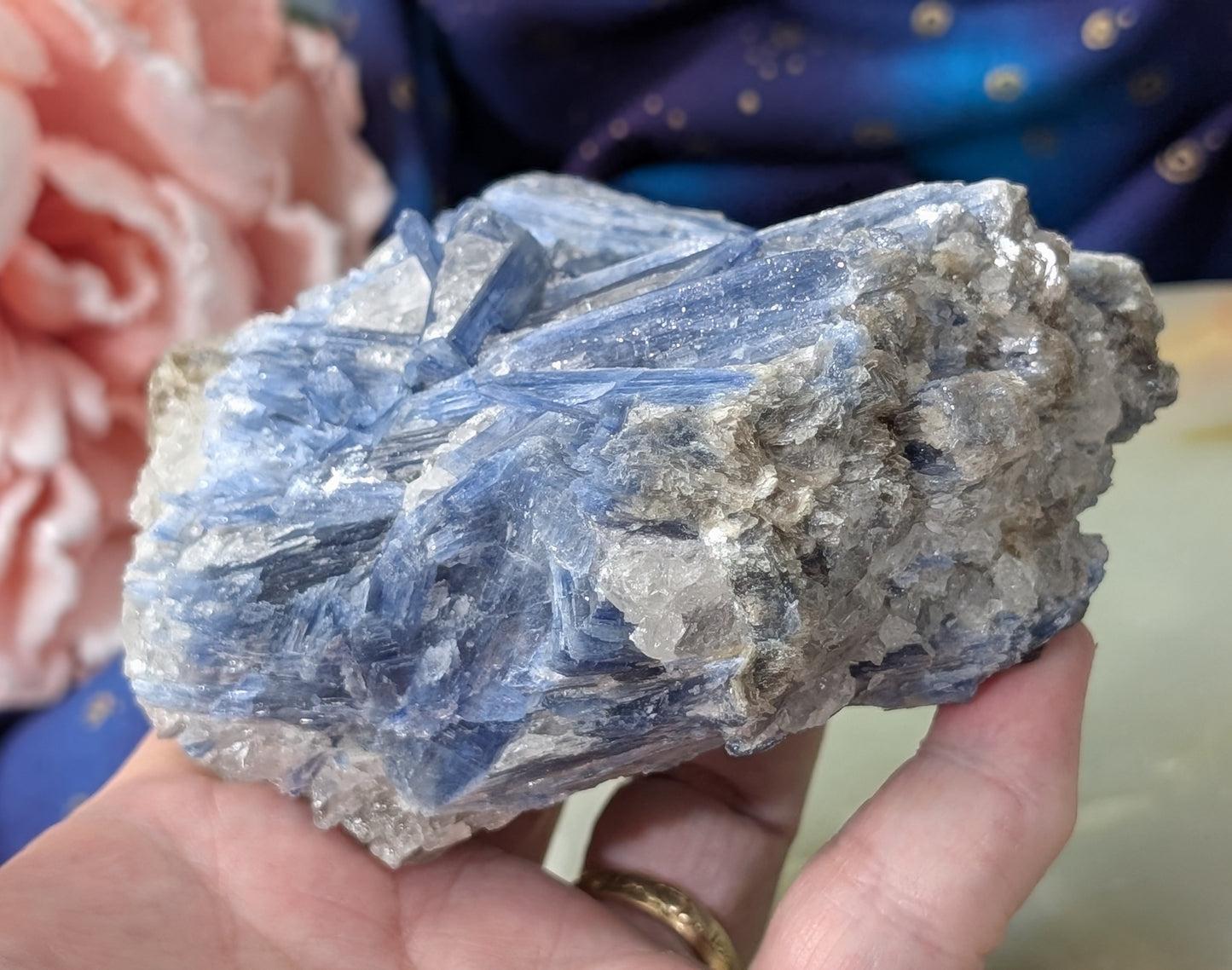 Ruby in Kyanite Specimen