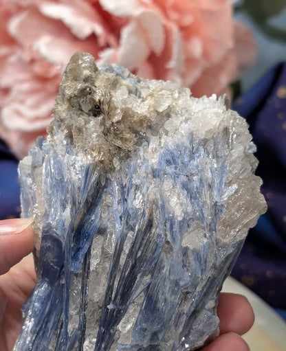 Ruby in Kyanite Specimen