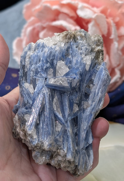 Ruby in Kyanite Specimen