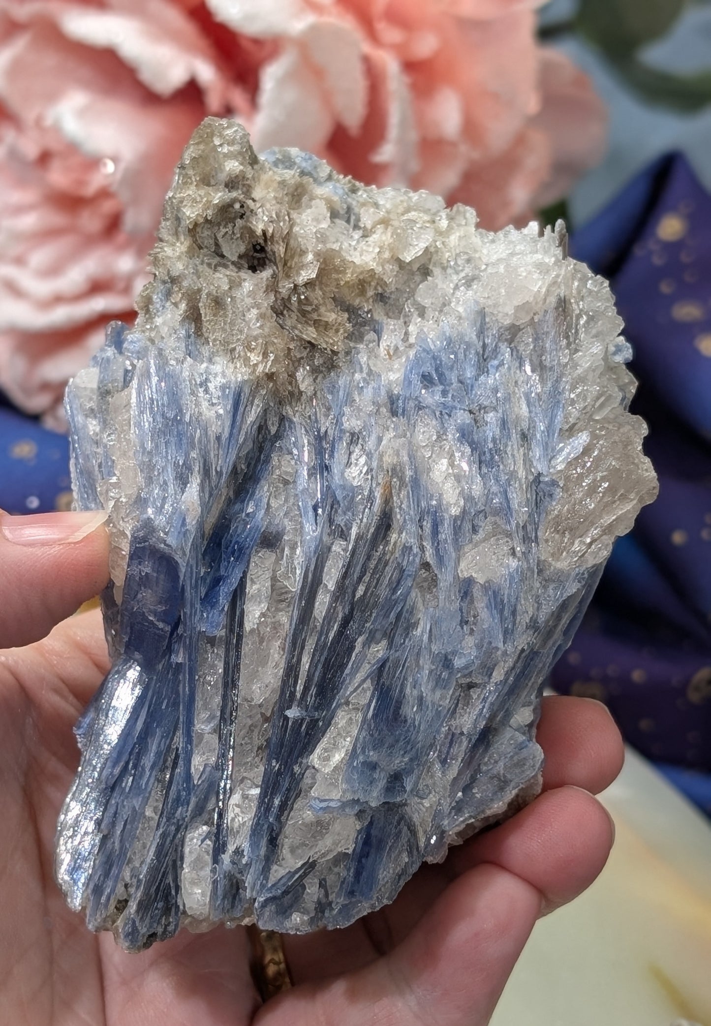 Ruby in Kyanite Specimen