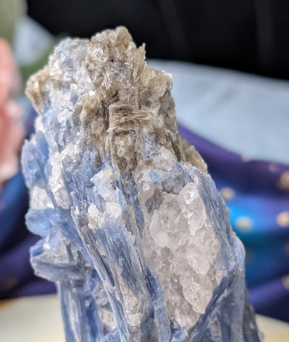 Ruby in Kyanite Specimen