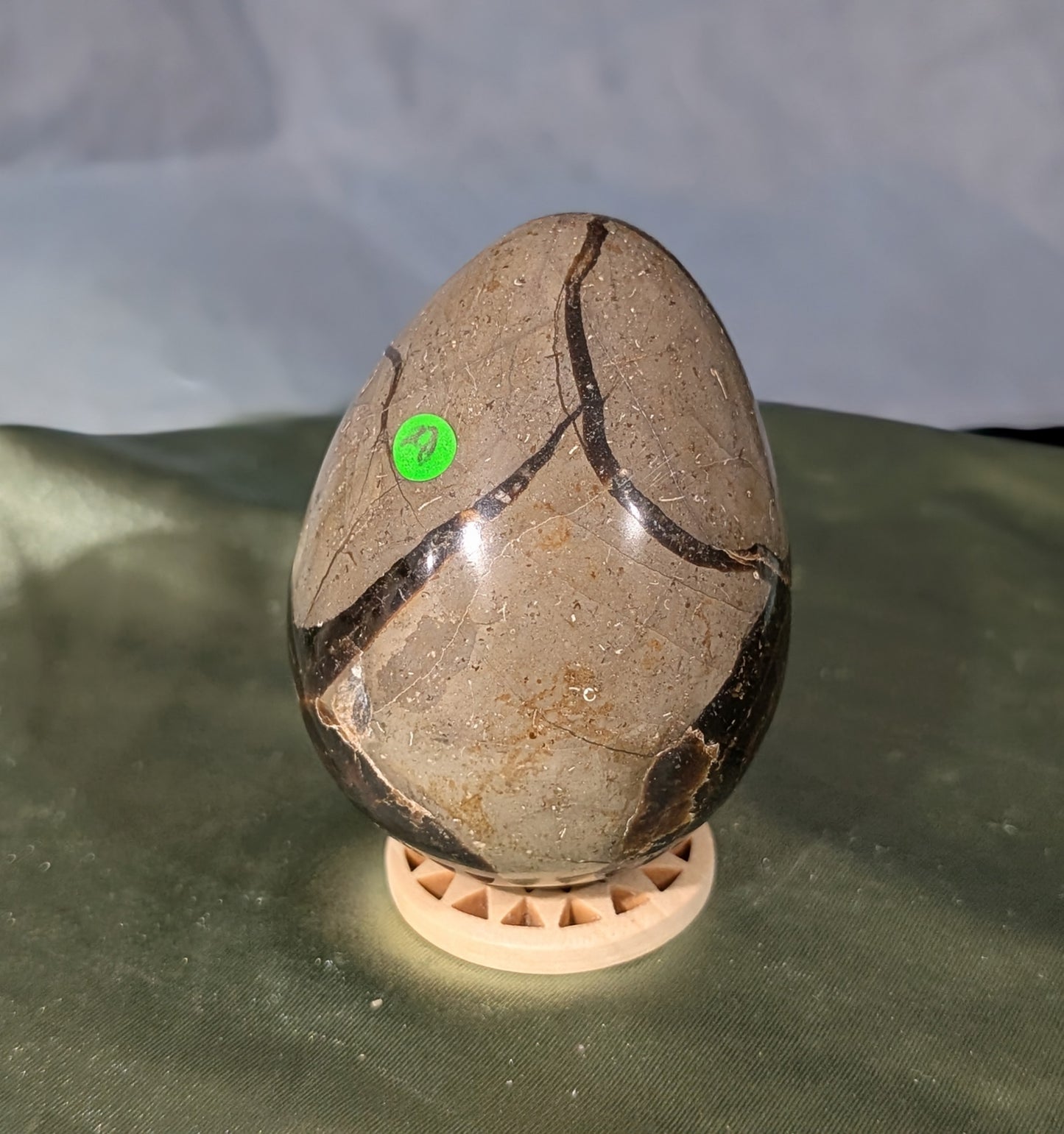 Septarian Egg