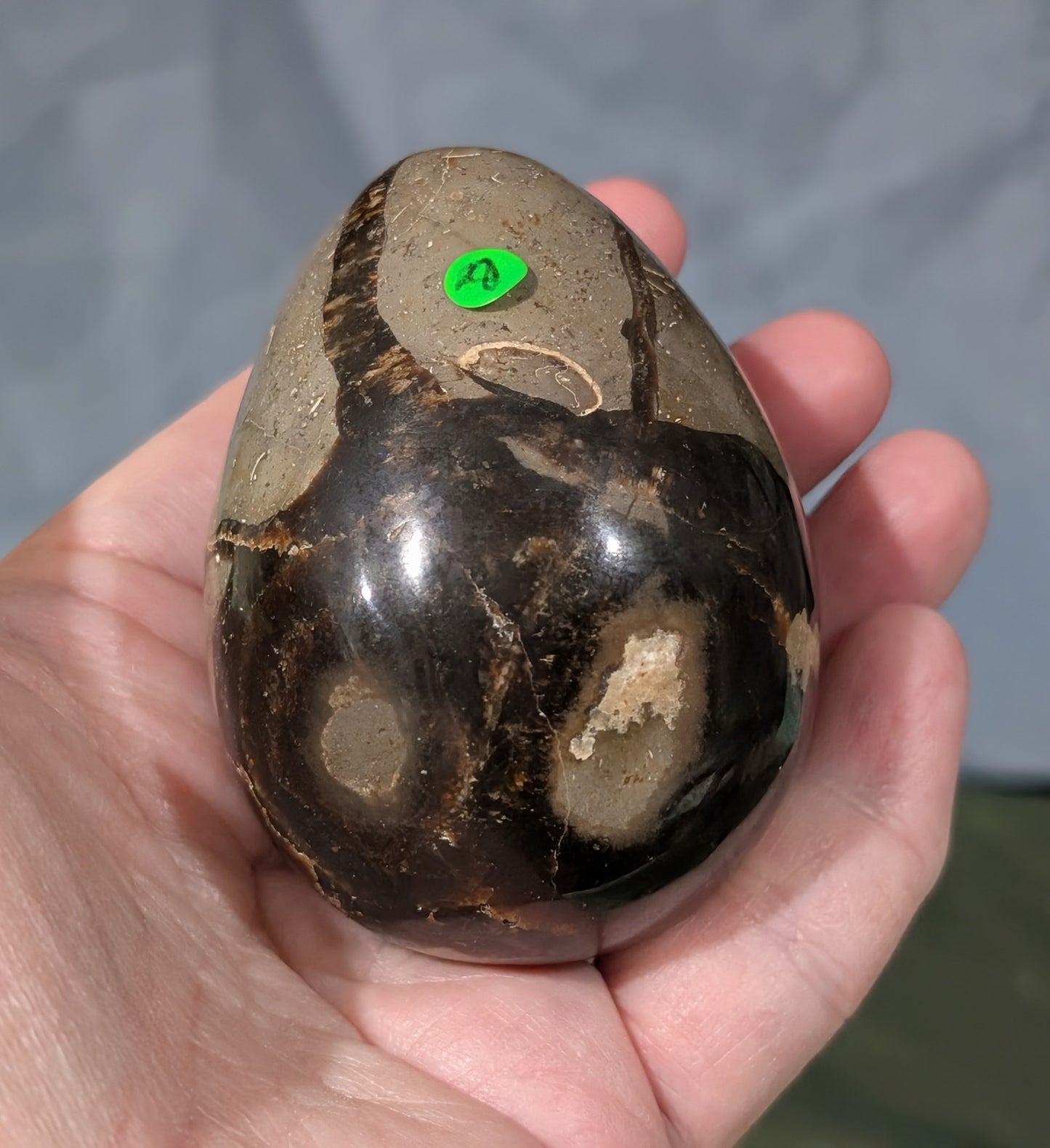 Septarian Egg
