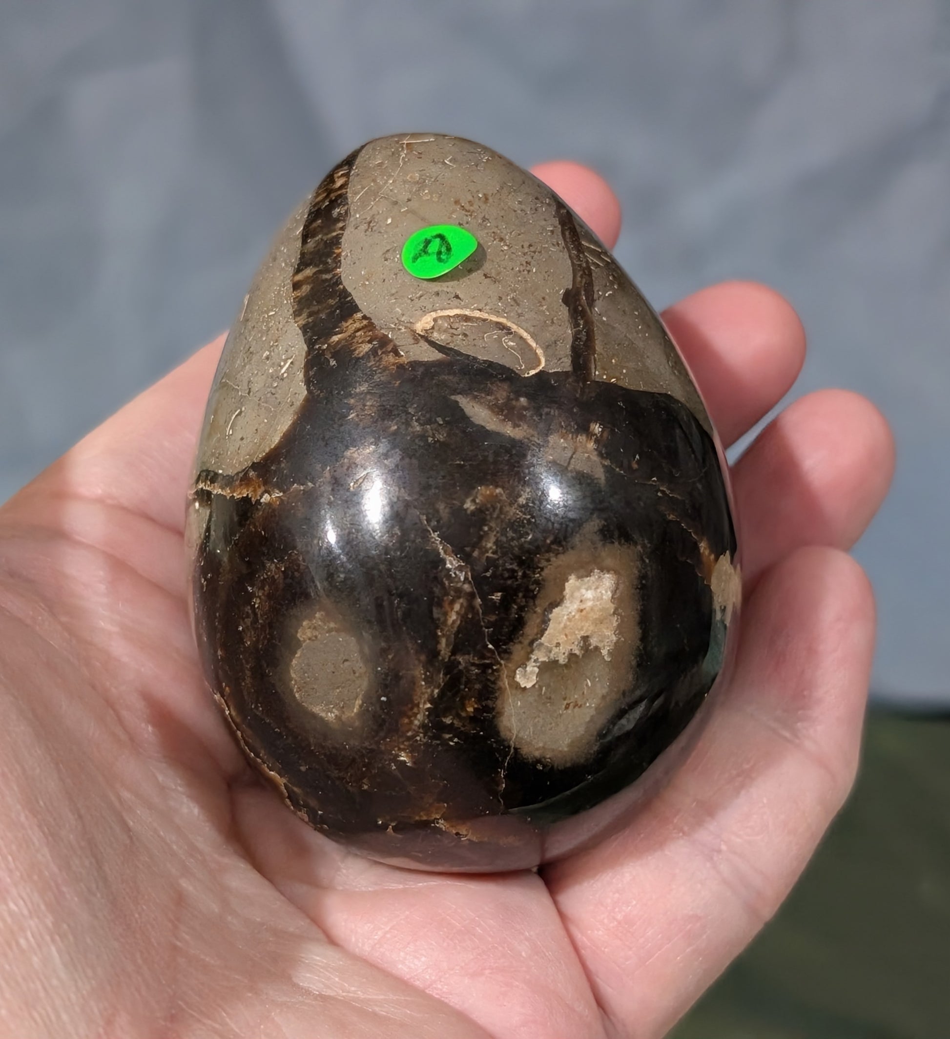 Septarian Egg