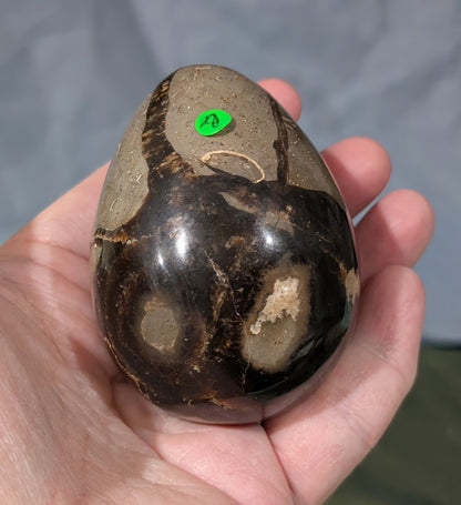 Septarian Egg