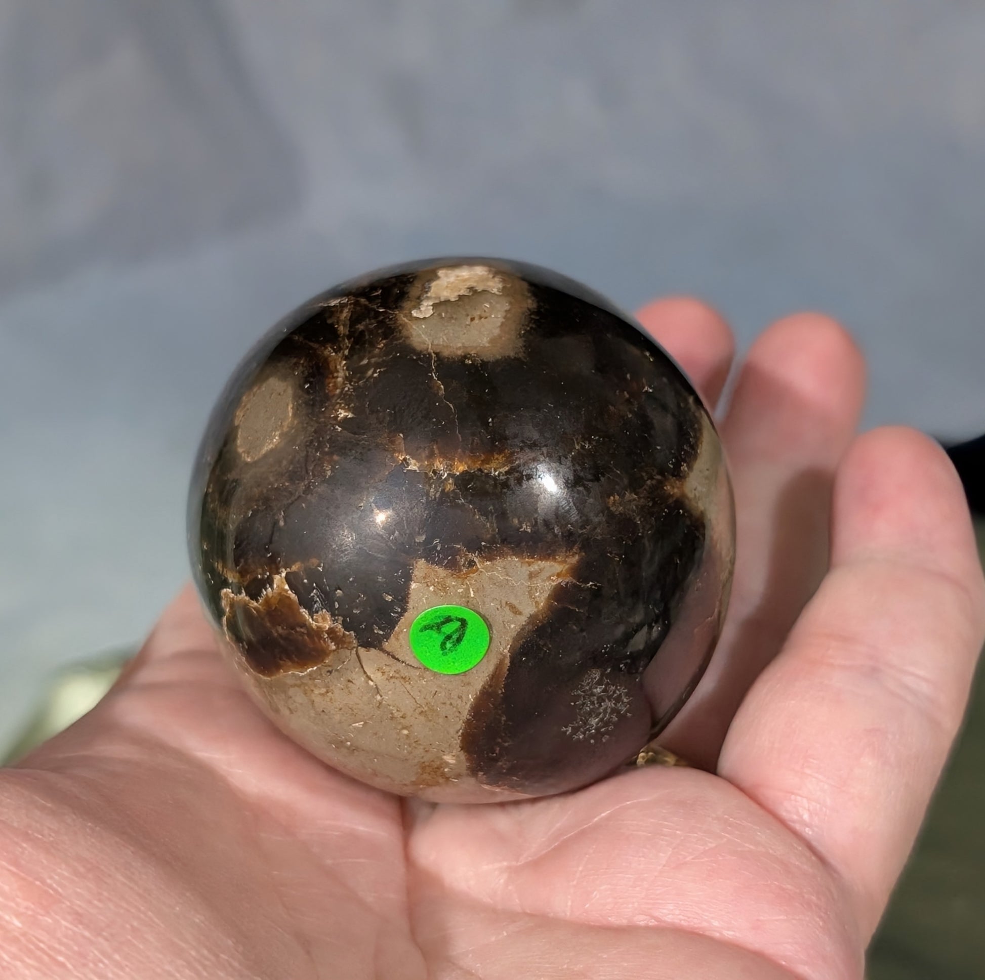 Septarian Egg