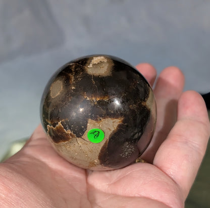 Septarian Egg