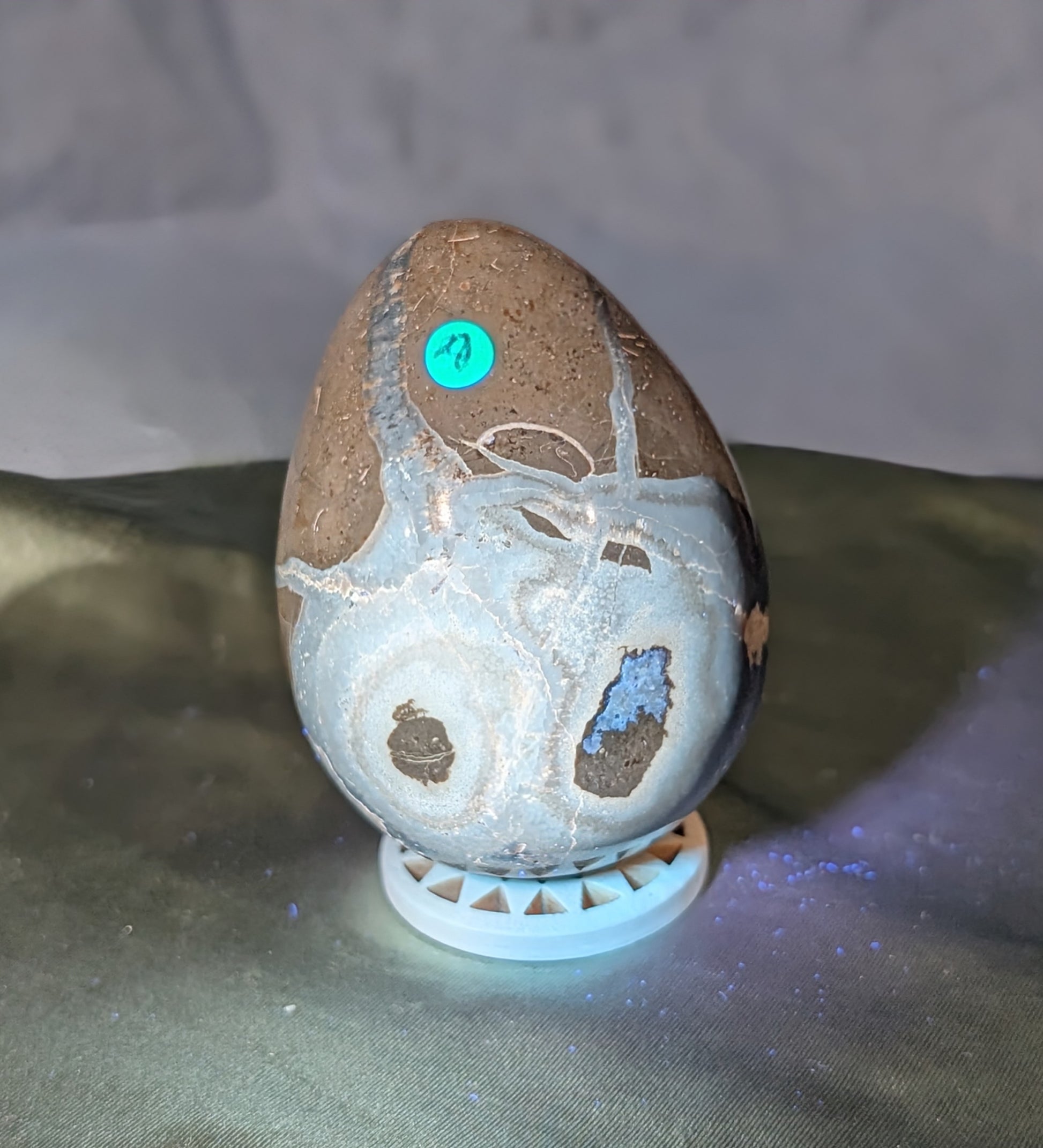 Septarian Egg