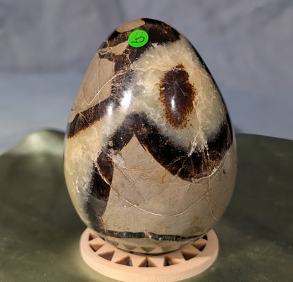 Septarian Egg