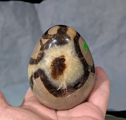 Septarian Egg