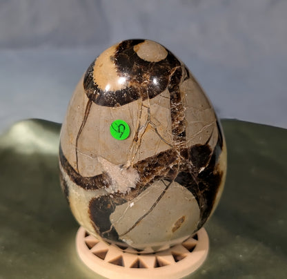 Septarian Egg