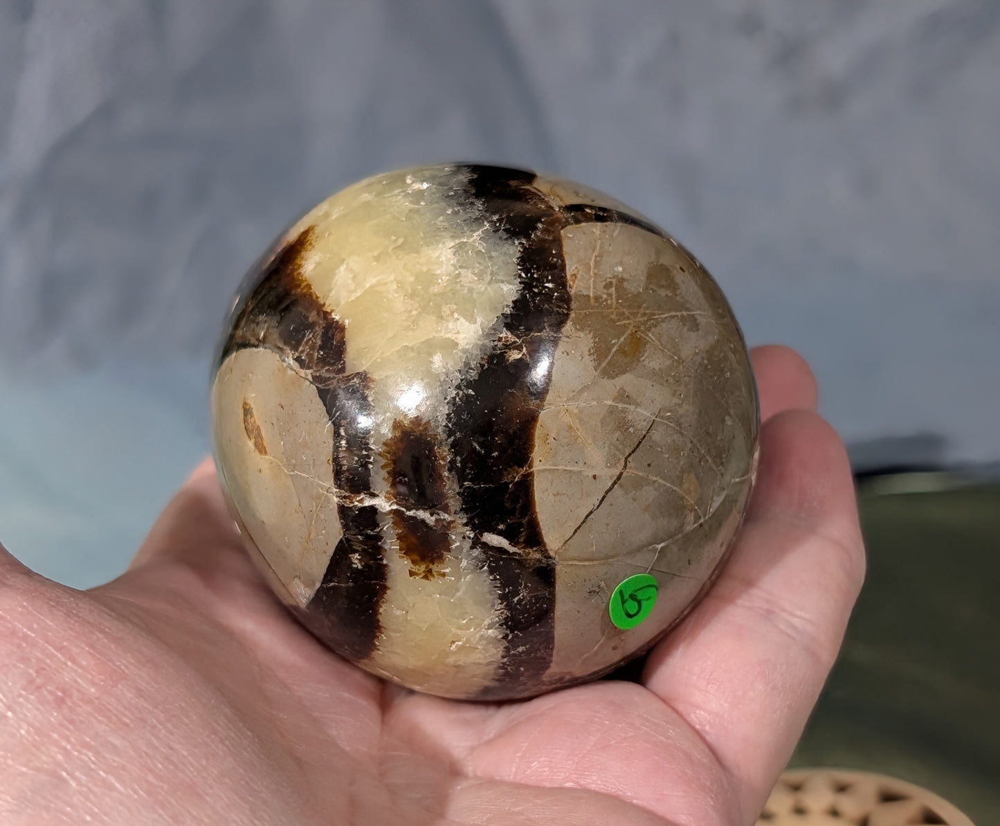 Septarian Egg