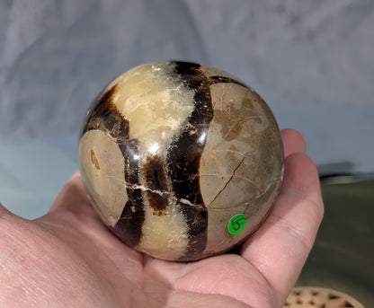 Septarian Egg