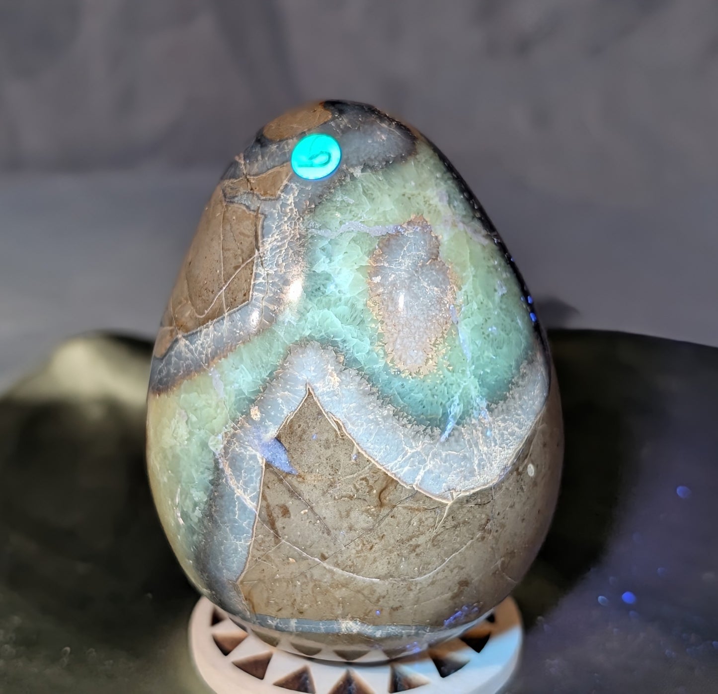 Septarian Egg