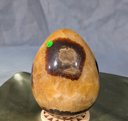Septarian Egg