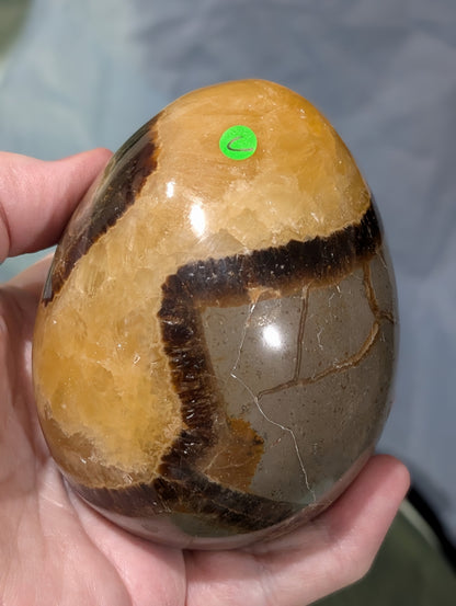 Septarian Egg