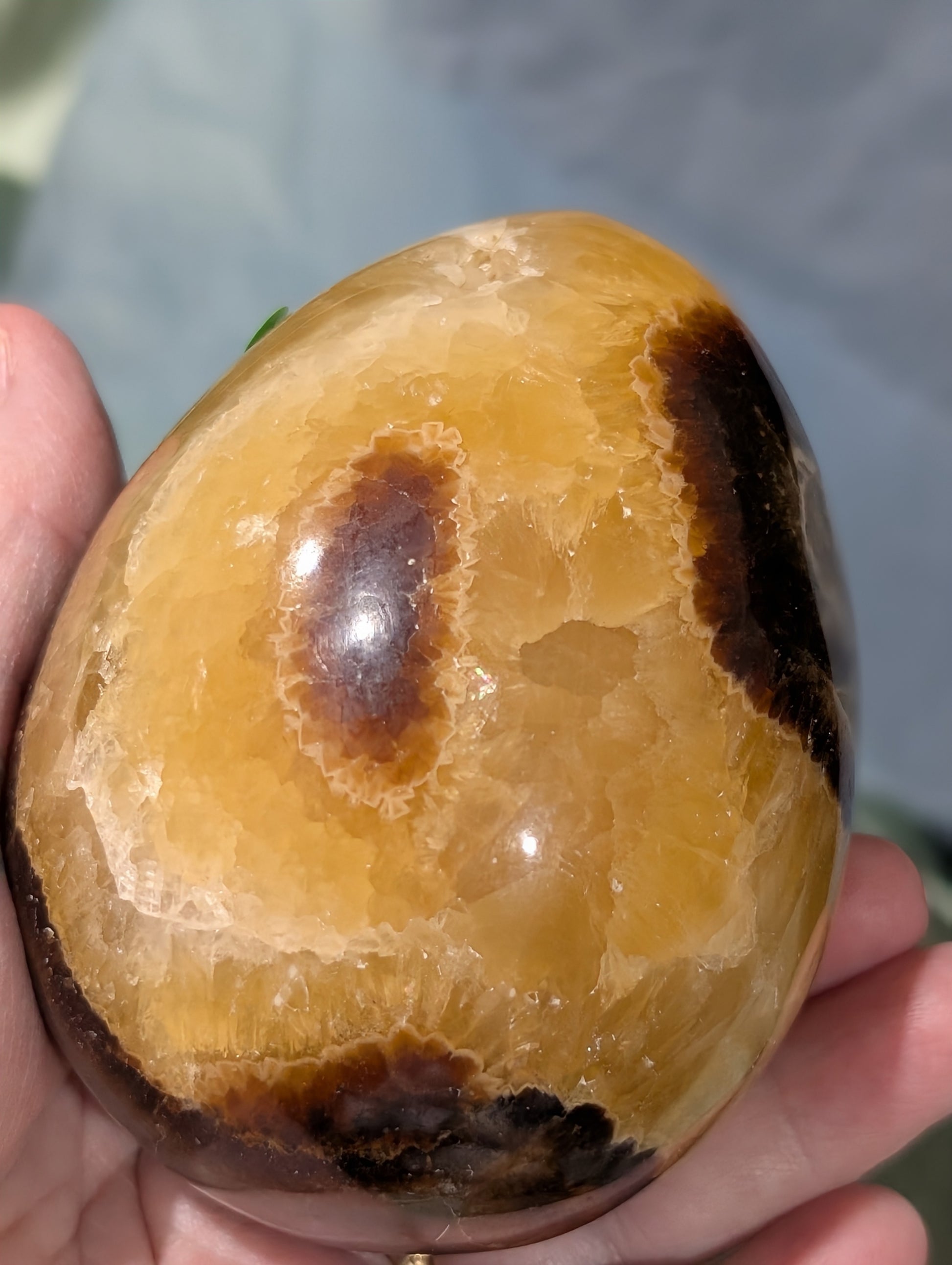Septarian Egg