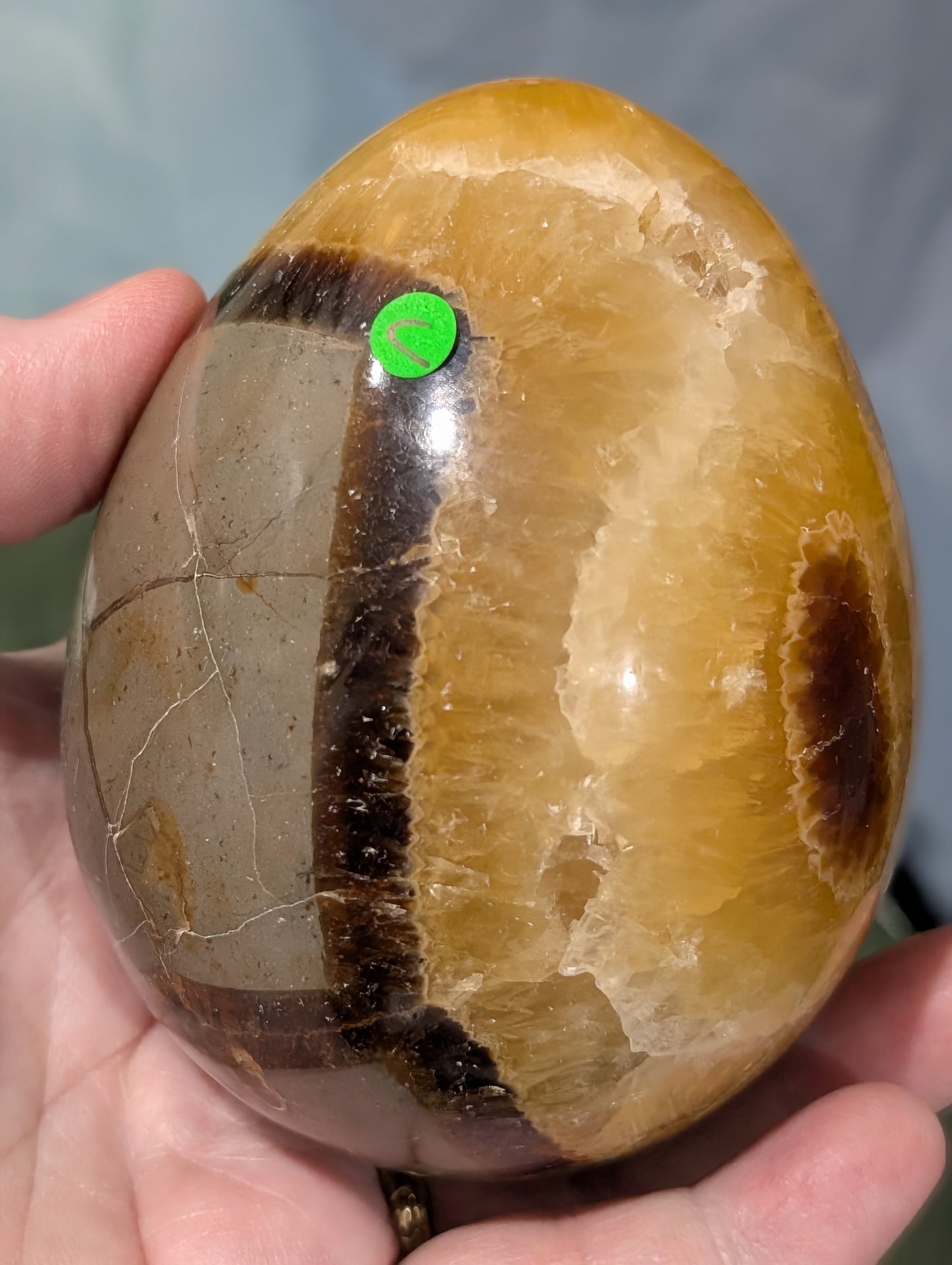 Septarian Egg
