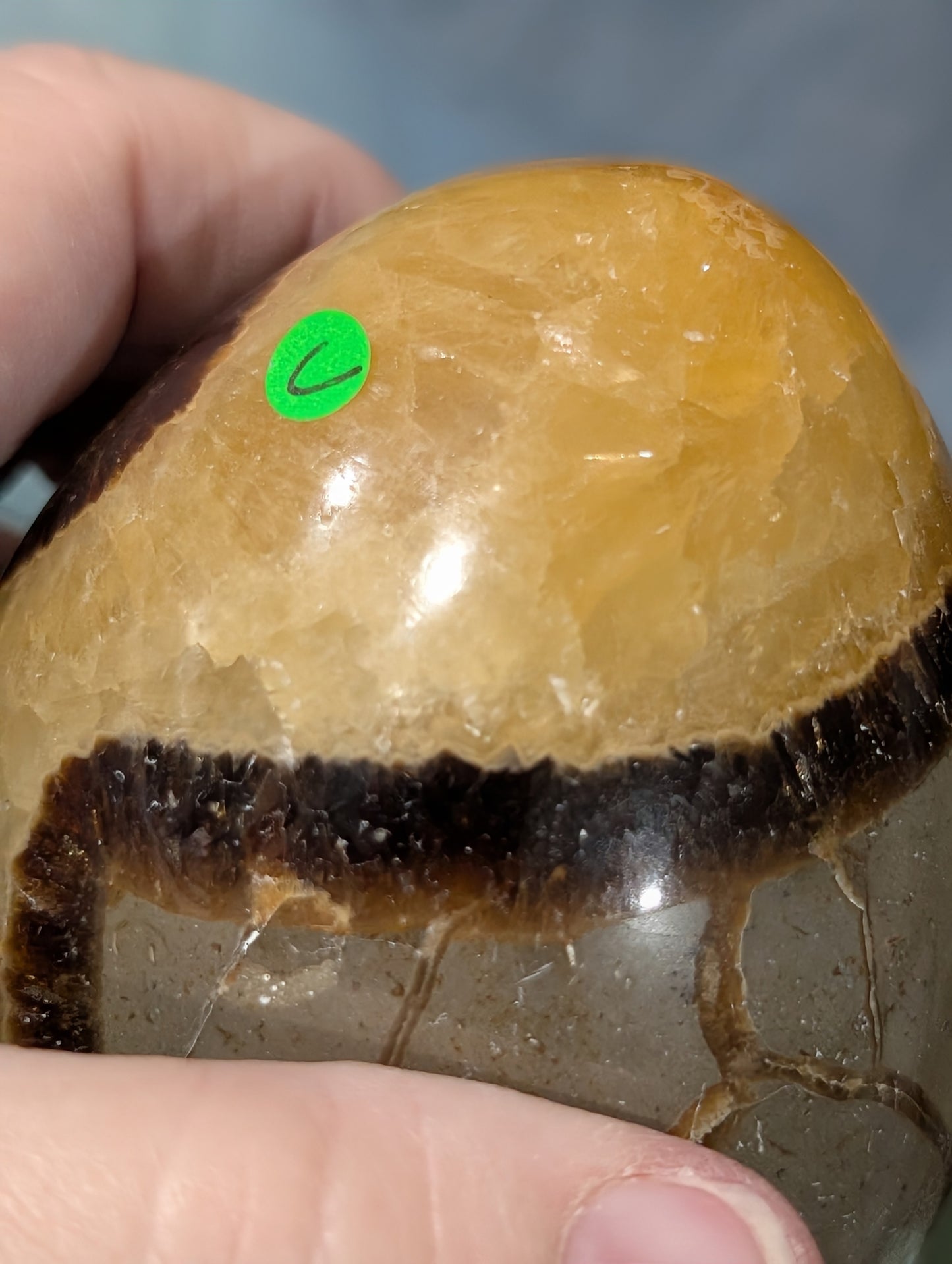 Septarian Egg