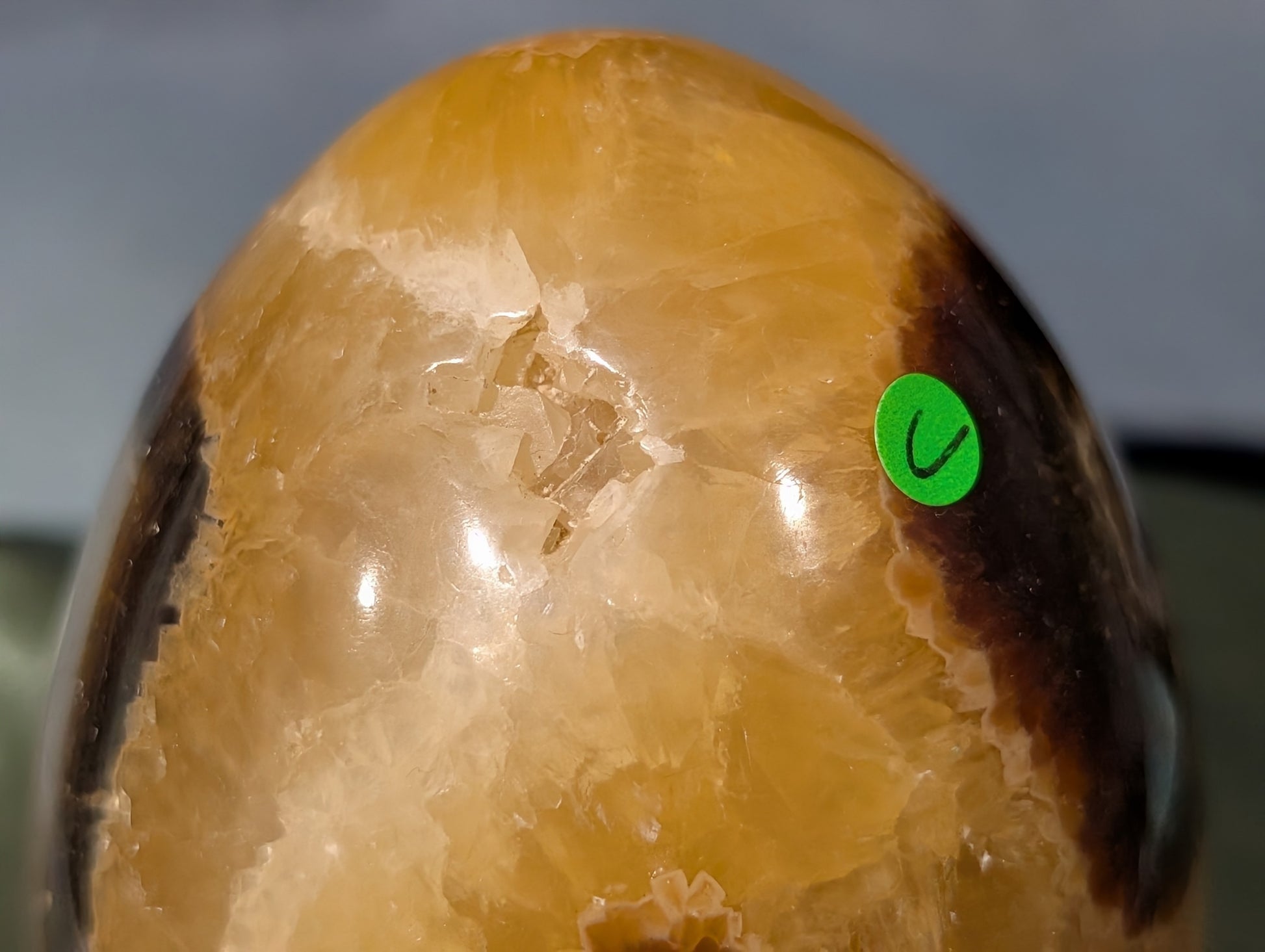 Septarian Egg