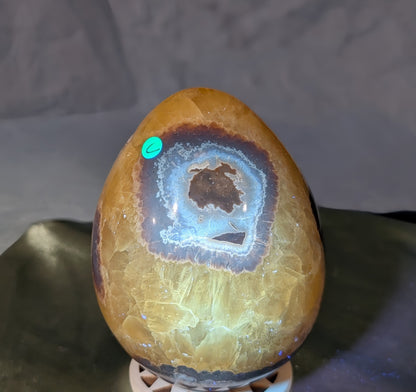 Septarian Egg