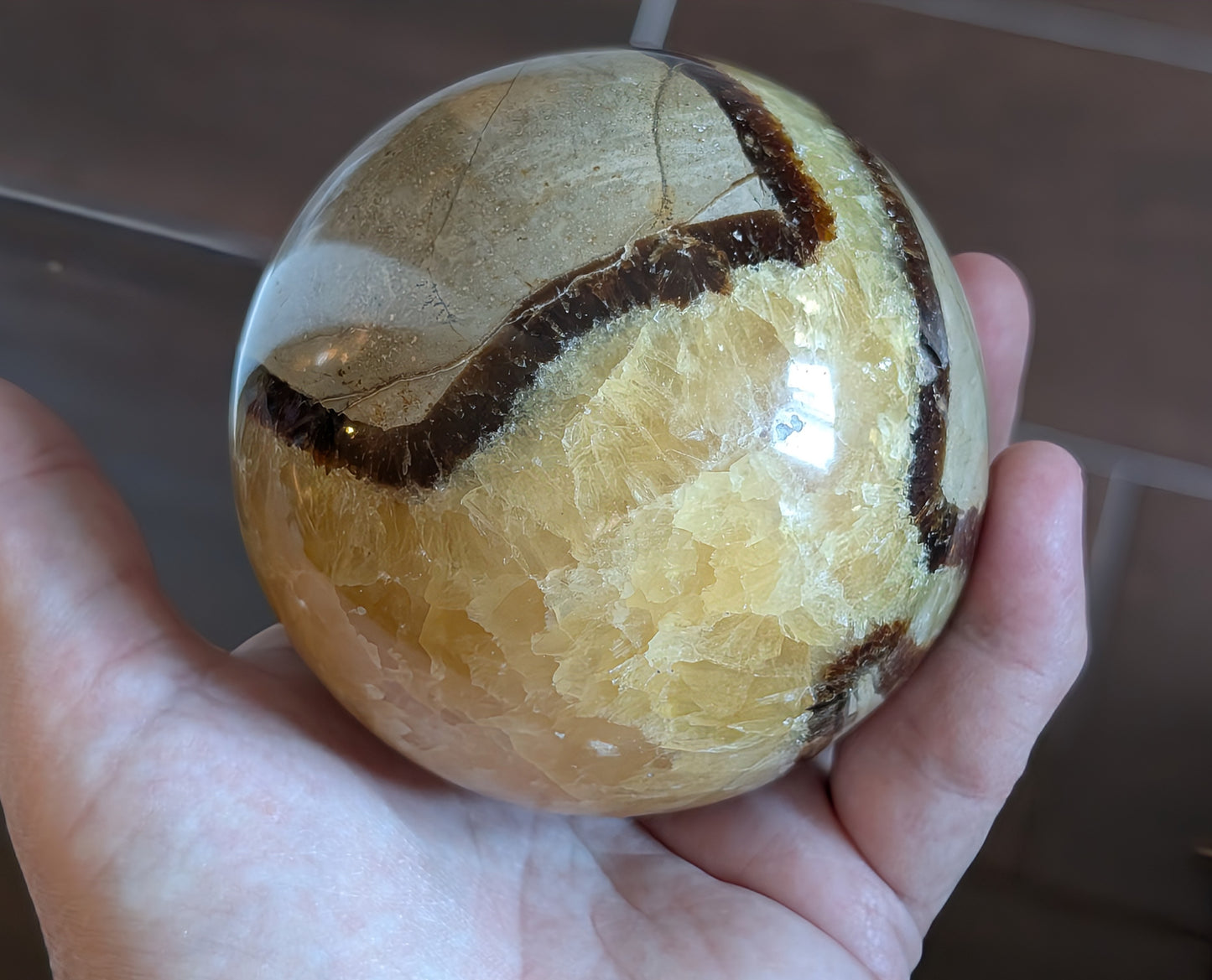Septarian Sphere