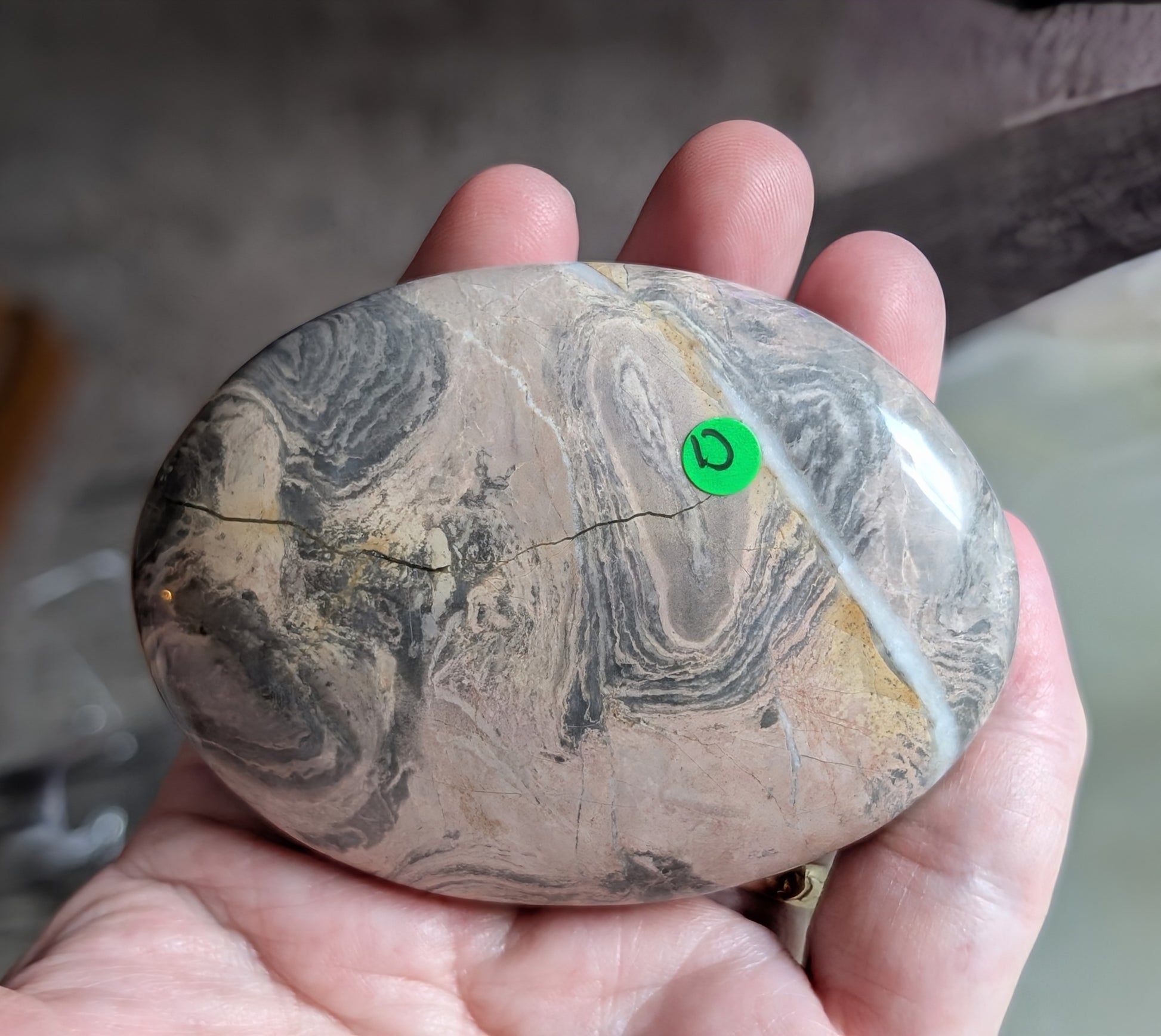 Silver Leaf Jasper Palm Stone