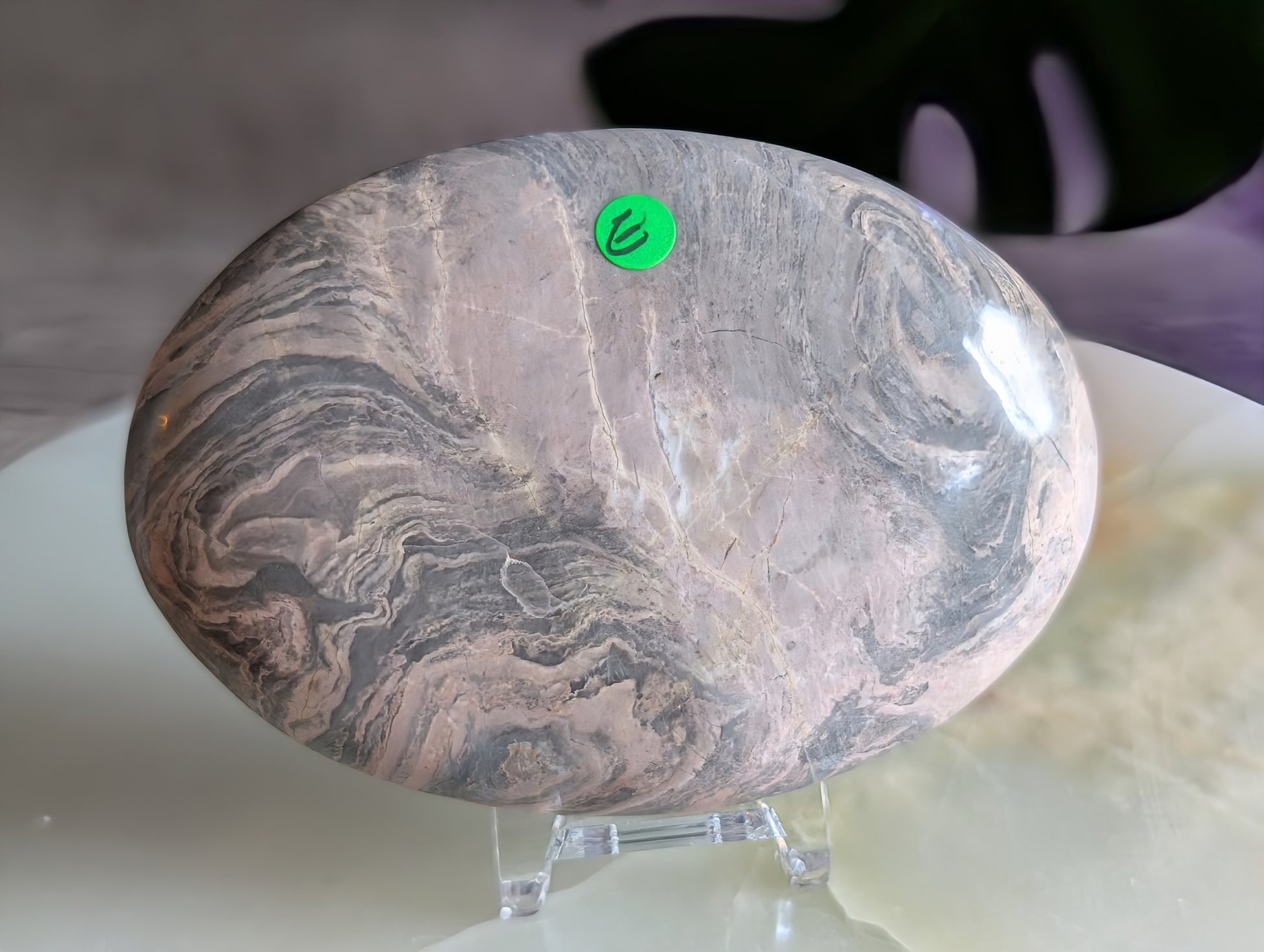 Silver Leaf Jasper Palm Stone