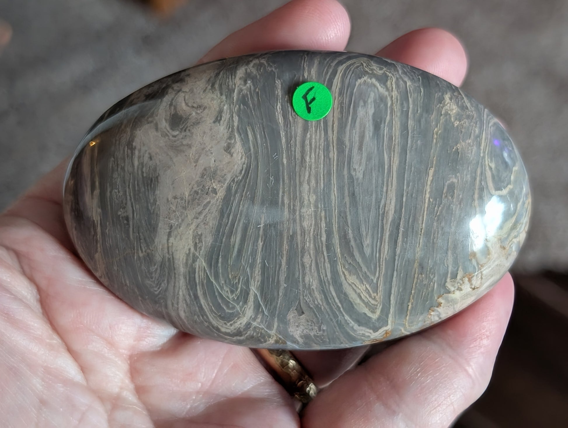 Silver Leaf Jasper Palm Stone
