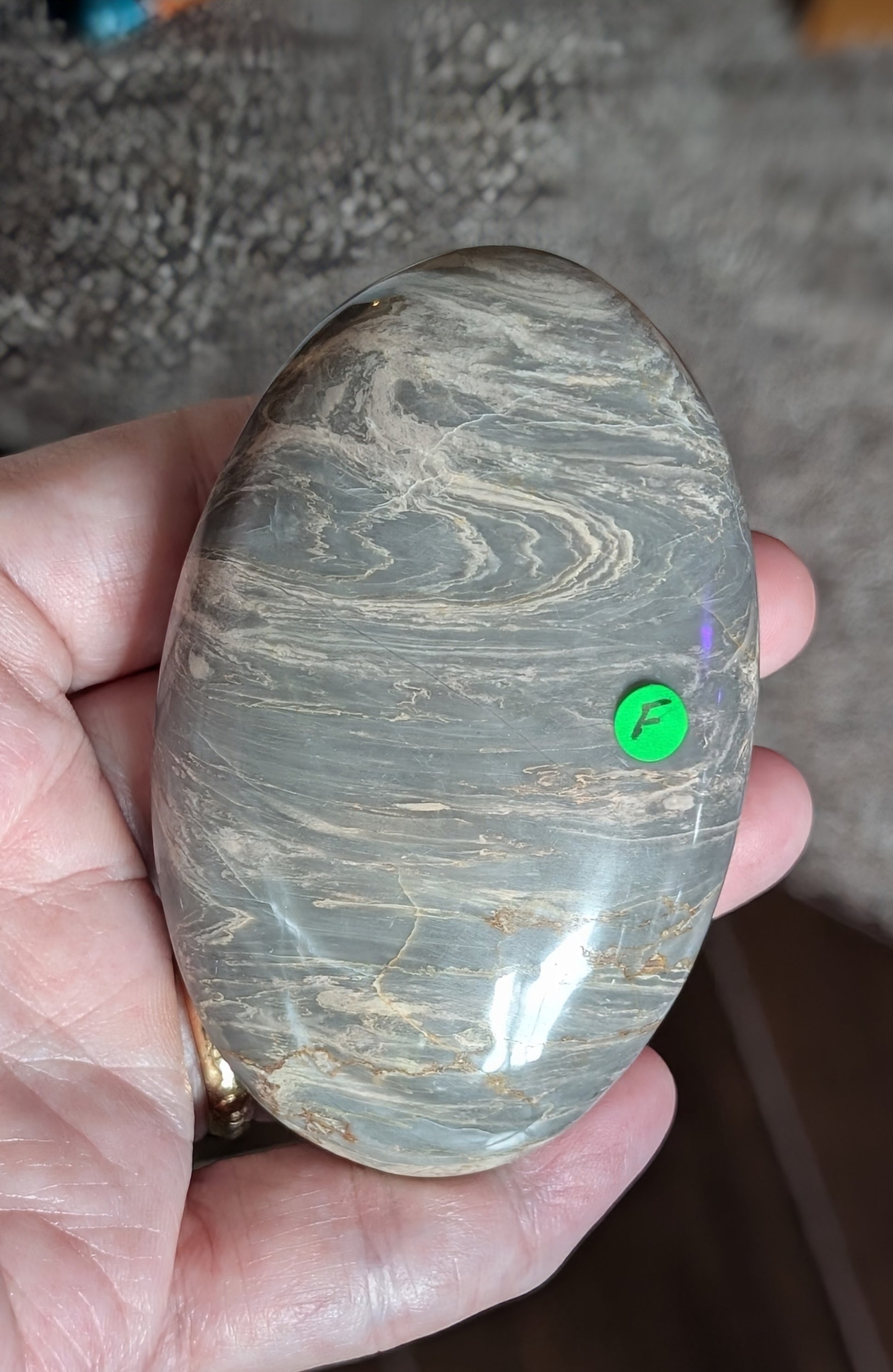Silver Leaf Jasper Palm Stone