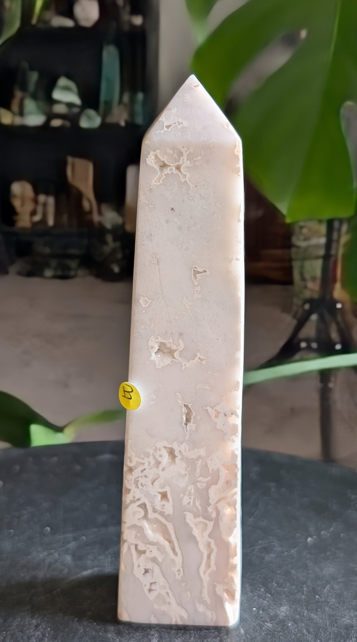 Snow Agate Tower